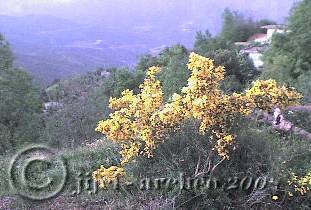 Vue à Béni Yadjis