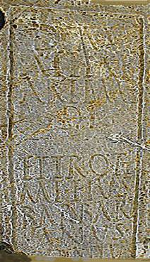 Barbaranus