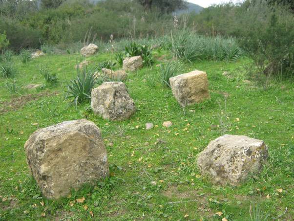 Les vestiges de Aïn Tissillil