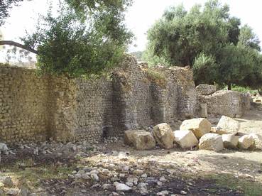 Le mur d'enceinte de Chobae � Ziama