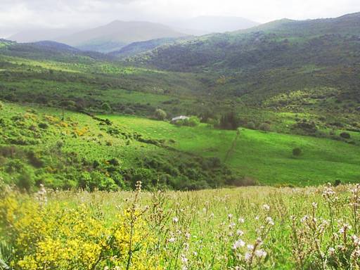 Vue d'El Kemaih Jijel