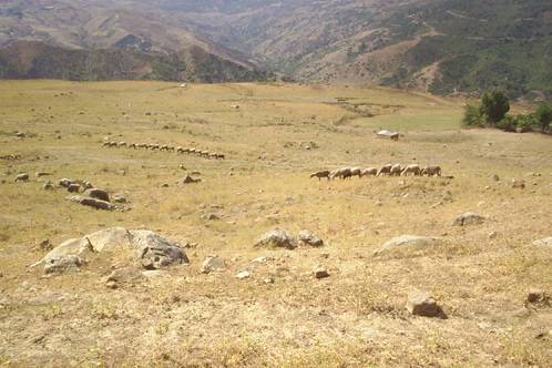 Plateau de Ras Ezzan