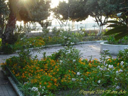 Fleurs de jardin Faubourg