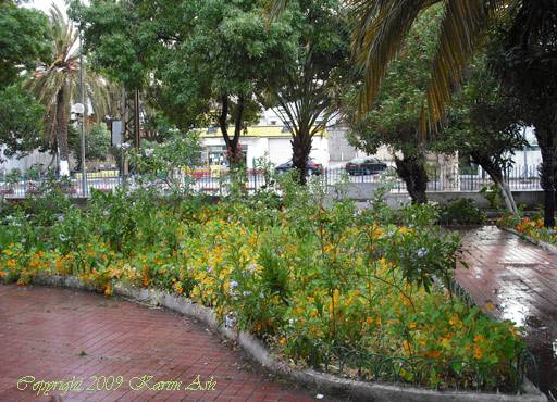 Le jardin et la station