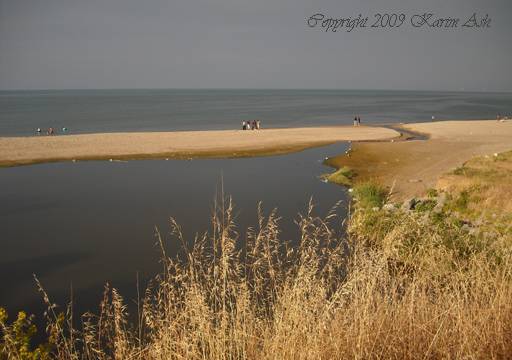 Embouchure de l'oued El Kantara