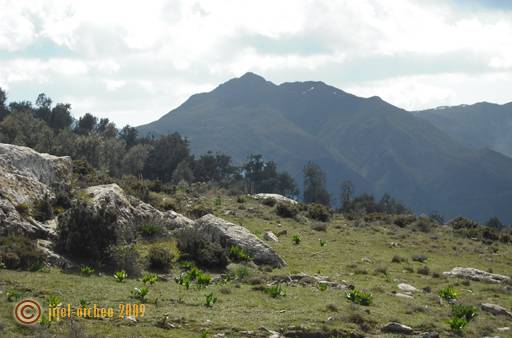 Les monts des Béni Affer