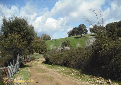 Le sentier