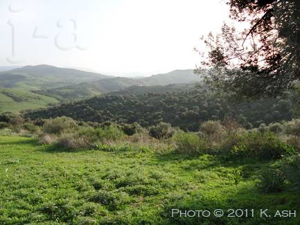 Paysage  Bni Caid - Jijel