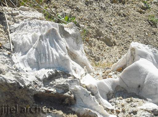 Affleurement calcaire