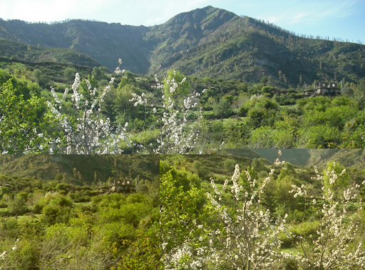 Le mont Tamesguida Jijel