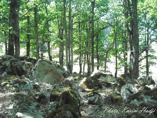 Bivouac  Bouafroune