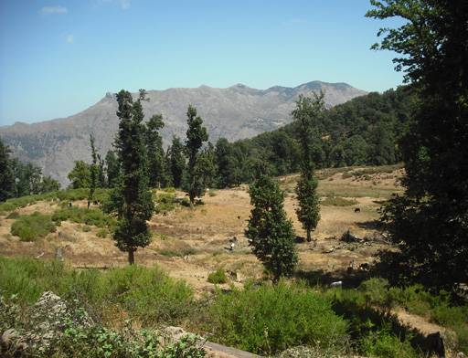 Paysage à Bouafroune