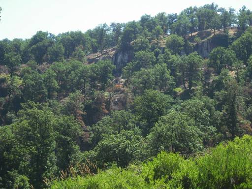 Paysage à Bouafroune