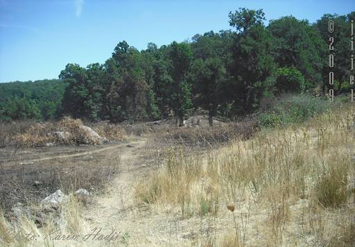 Paysage à Bouafroune