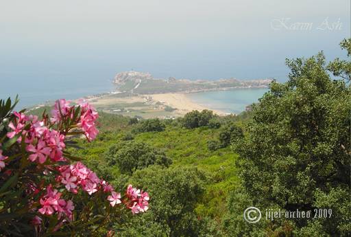 La plage du grand phare